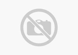 Seat Ibiza 1.0 TSI Black Edition 115PS Sitzheiz. PDC Kamera Navi Dinamica Voll-LED 18´´Alu Tempomat